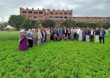 الزراعة تستعرض حصاد الفرق الإرشادية الريفية للمحاصيل الشتوية خلال شهر فبراير 2024