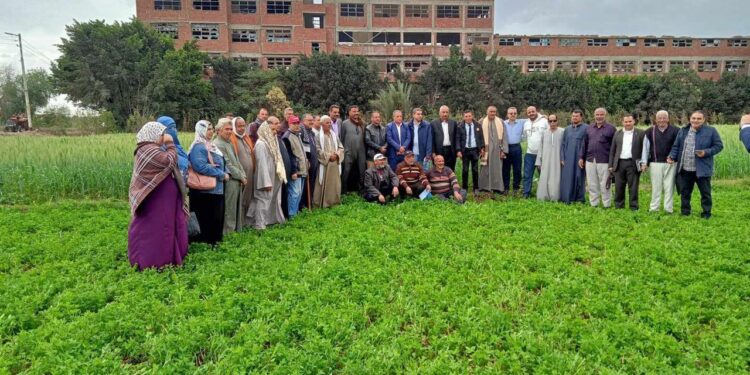 الزراعة تستعرض حصاد الفرق الإرشادية الريفية للمحاصيل الشتوية خلال شهر فبراير 2024 1 الزراعة تستعرض حصاد الفرق الإرشادية الريفية للمحاصيل الشتوية خلال شهر فبراير 2024