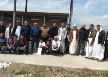 الأعلاف غير التقليدية