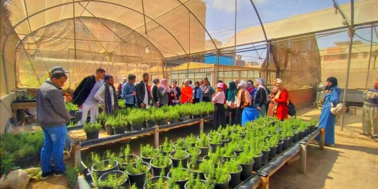 المناخ الزراعي يستقبل 200 طالب من كلية زراعة جامعة القاهرة للتدريب على التقنيات الزراعية 1 المناخ الزراعي يستقبل  200 طالب من  كلية زراعة جامعة القاهرة للتدريب على التقنيات الزراعية