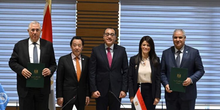 رئيس زراعة النواب: توقيع برنامج عمل منظمة "الفاو" بمصر يسرع من خطوات تحقيق الأمن الغذائي 1 رئيس زراعة النواب: توقيع برنامج عمل منظمة “الفاو” بمصر يسرع من خطوات تحقيق الأمن الغذائي