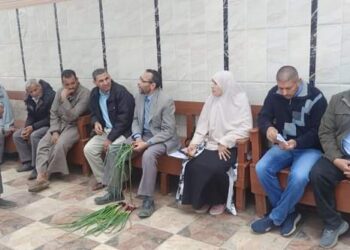 محصول البصل .. ندوة إرشادية عن التكثيف المحصولي بزراعة الشرقية