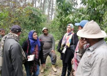 فرق إرشادية لمحصولي الفول و الموالح بـ زراعة الإسكندرية