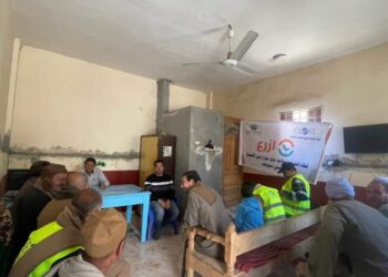 زراعة بني سويف