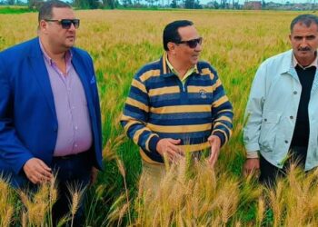 المهندس سميح عبد السميع وكيل زراعة دمياط