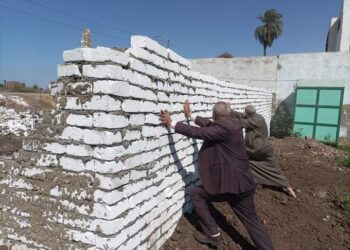 إزالة حالتي تعد بزراعة بني سويف