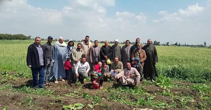 زراعة كفر الشيخ تتابع حالة "القمح"بمراكز بيلا وسيدي سالم و "المرابعين" 1 زراعة كفر الشيخ تتابع حالة “القمح”بمراكز بيلا وسيدي سالم و “المرابعين”