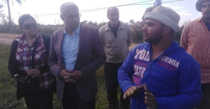 مديرية زراعة الإسكندرية تتابع حالة المحاصيل الشتوية بالعامرية وخورشيد 1 زراعة الإسكندرية