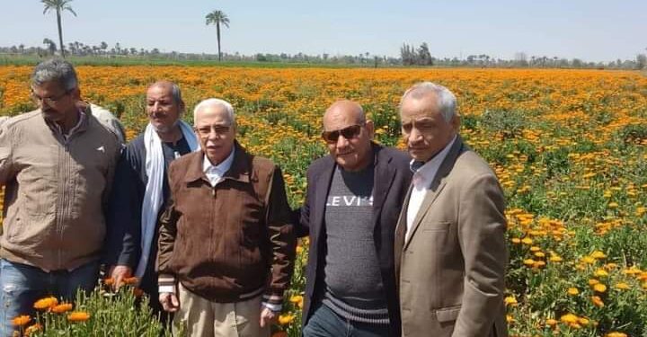 زراعة بني سويف تنظم أنشطة إرشادية للفول والنباتات العطرية بمركز ببا 1 زراعة بني سويف تنظم أنشطة إرشادية للفول والنباتات العطرية بمركز ببا