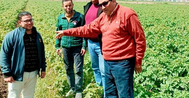 المهندس سميح عبد السميع:تشكيل اللجان المشاركة في توريد القمح..وتكثيف المرور الميداني على الزراعات 1 المهندس سميح عبد السميع:تشكيل اللجان المشاركة في توريد القمح..وتكثيف المرور الميداني على الزراعات