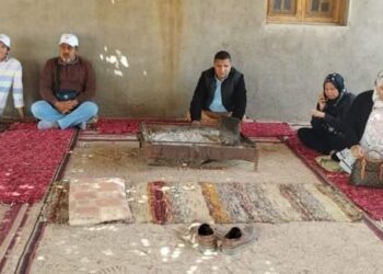 زراعة جنوب سيناء تواصل متابعة الزراعات الشتوية و”المدارس الحقلية”