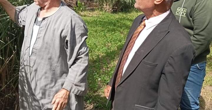 زراعة البحيرة تتابع محصول نخيل البلح بمركز أبو حمص 1 لجان الفحص بزراعة البحيرة