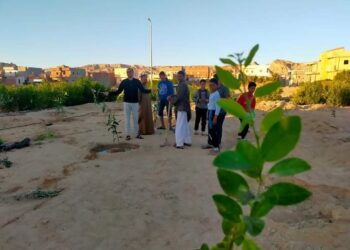 زراعة جنوب سيناء