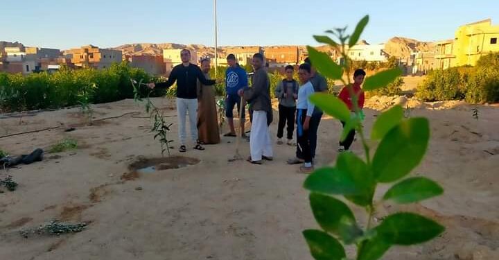 زراعة جنوب سيناء