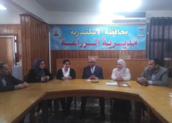 زراعة الإسكندرية