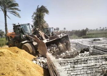 إزالة التعديات بزراعة بني سويف