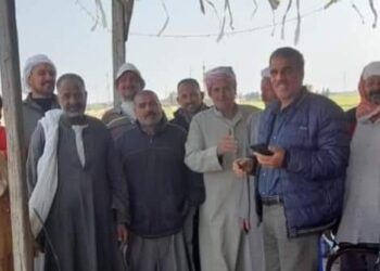 زراعة بورسعيد 