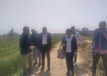 وكيل وزارة زراعة الإسكندرية يتفقد زراعات برج العرب