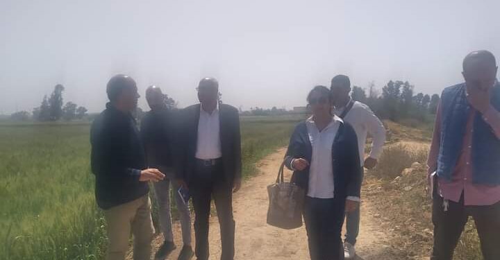 وكيل وزارة زراعة الإسكندرية يتفقد زراعات برج العرب