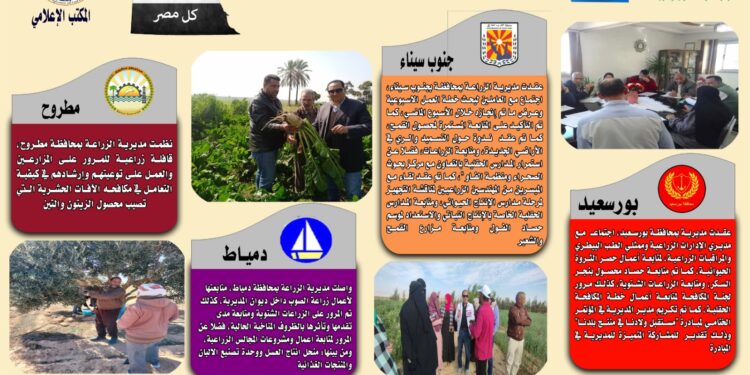 انفوجراف وفيديو| تعرف على أنشطة وجهود مديريات الزراعة والطب البيطري خلال أسبوع 1 انفوجراف وفيديو| تعرف على أنشطة وجهود مديريات الزراعة والطب البيطري خلال أسبوع