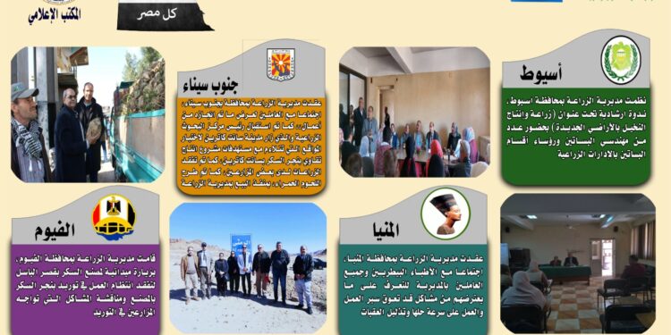 انفوجراف وفيديو| تعرف على أنشطة وجهود مديريات الزراعة والطب البيطري خلال أسبوع 1 انفوجراف وفيديو| تعرف على أنشطة وجهود مديريات الزراعة والطب البيطري خلال أسبوع