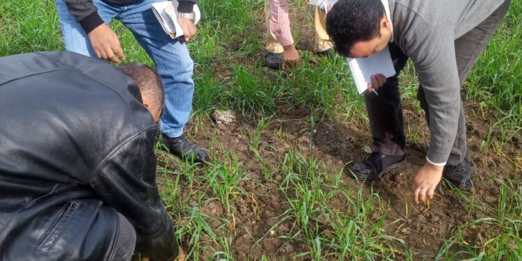 مكافحة الآفات