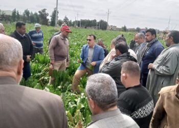 الفريق الإرشادي الريفي