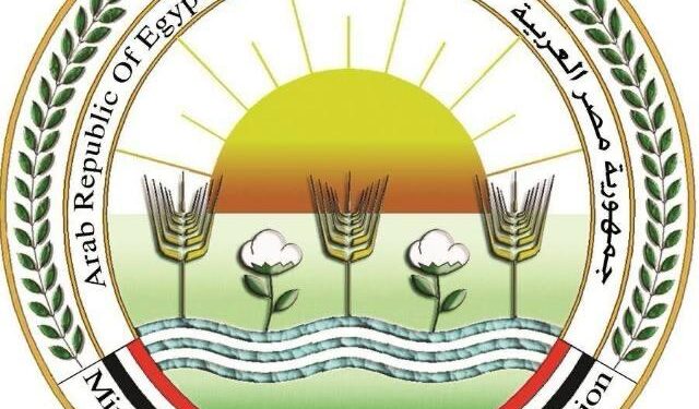 "الزراعة" تنفى وجود فيروس يؤدى لـ نفوق الدواجن 1 نفوق الدواجن