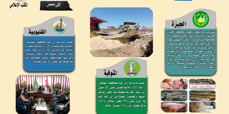 انفوجراف وفيديو| تعرف على أنشطة وجهود مديريات الزراعة والطب البيطري خلال أسبوع 1 انفوجراف وفيديو| تعرف على أنشطة وجهود مديريات الزراعة والطب البيطري خلال أسبوع