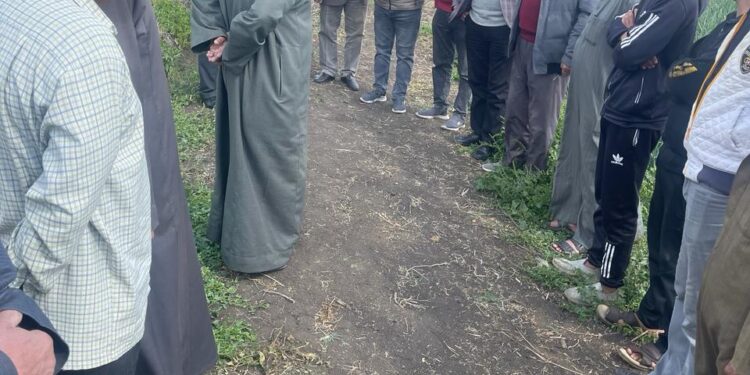 الفريق الإرشادي الريفي بكفر الشيخ يقدم حزمة توصيات للمحاصيل الشتوية 1 الفريق الإرشادي الريفي بكفر الشيخ يقدم حزمة توصيات للمحاصيل الشتوية