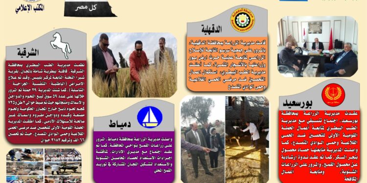 انفوجراف وفيديو| تعرف على أنشطة وجهود مديريات الزراعة والطب البيطري خلال أسبوع 1 انفوجراف وفيديو| تعرف على أنشطة وجهود مديريات الزراعة والطب البيطري خلال أسبوع