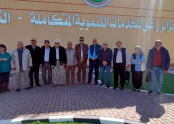 لجنة الحكماء