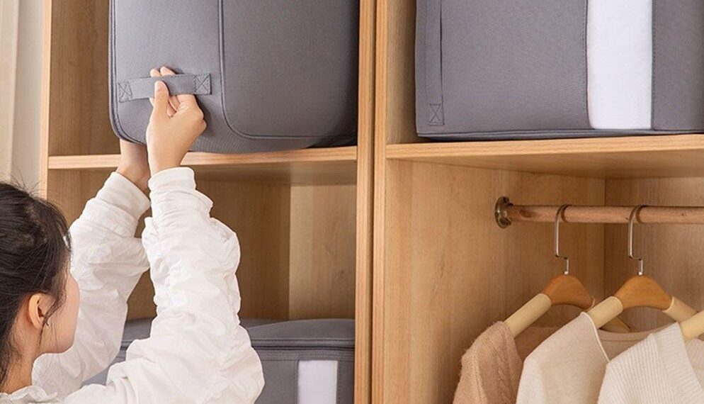 آفات المنسوجات