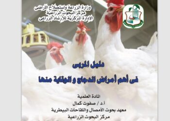 أهم أمراض الدواجن والوقاية منها