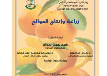 زراعة وإنتاج الموالح