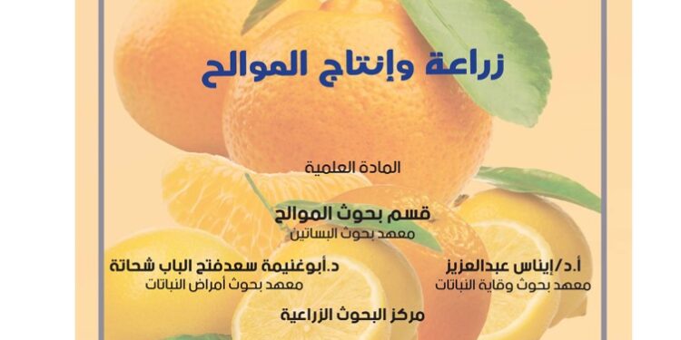 زراعة وإنتاج الموالح