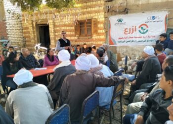 زراعة بني سويف