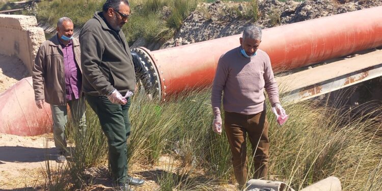 د. رضا عليوة يتابع حملة مكافحة القوارض لحماية محصول القمح بأسيوط 1 مكافحة القوارض