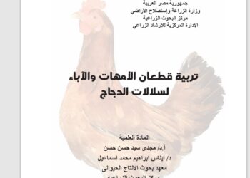 قطعان الامهات