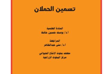 تسمين الحملان
