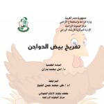 تفريخ بيض الدواجن