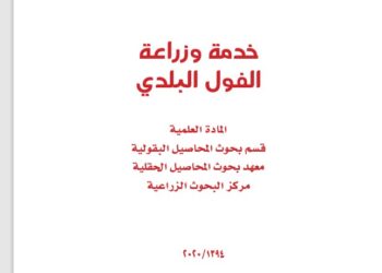 خدمة وزراعة الفول البلدي