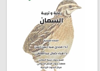 رعاية وتربية السمان