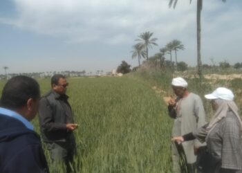 مدرسة حقلية بزراعة الإسكندرية