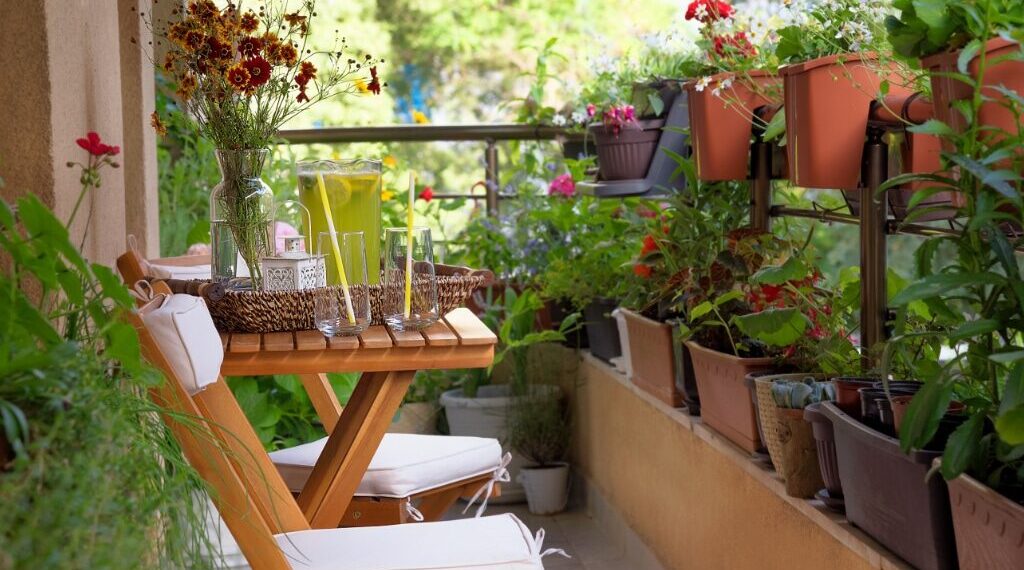 زراعة البلكونة