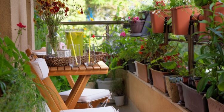 زراعة البلكونة