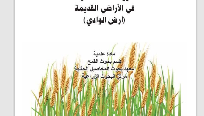 زراعة القمح في الأراضي القديمة .. نشرة إرشادية (pdf) 1 زراعة القمح في الأراضي القديمة .. نشرة إرشادية (pdf)