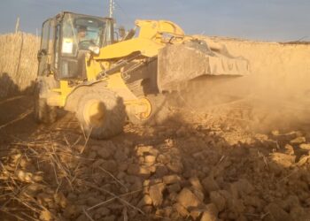 إزالة التعديات بزراعة المنوفية