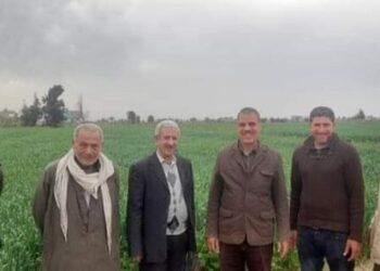 زراعة بورسعيد