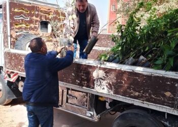 مبادرة ١٠٠ مليون شجرة